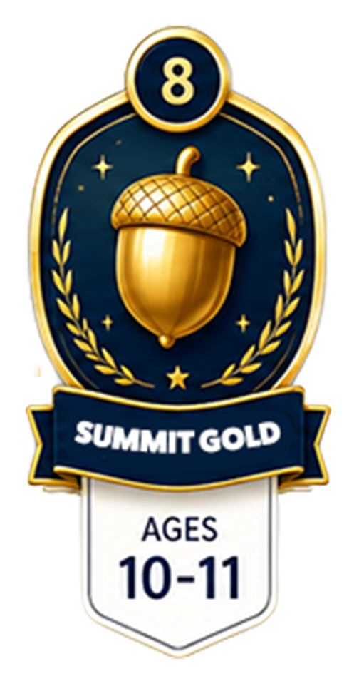 Summit Gold Badge
